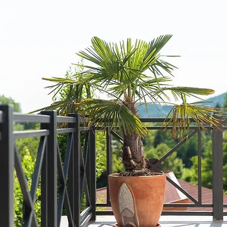 게스트하우스 Katzer 4*