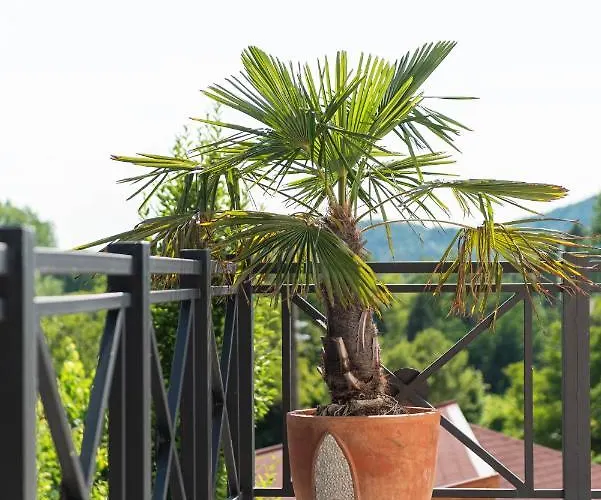 ゲストハウス Katzer 4*